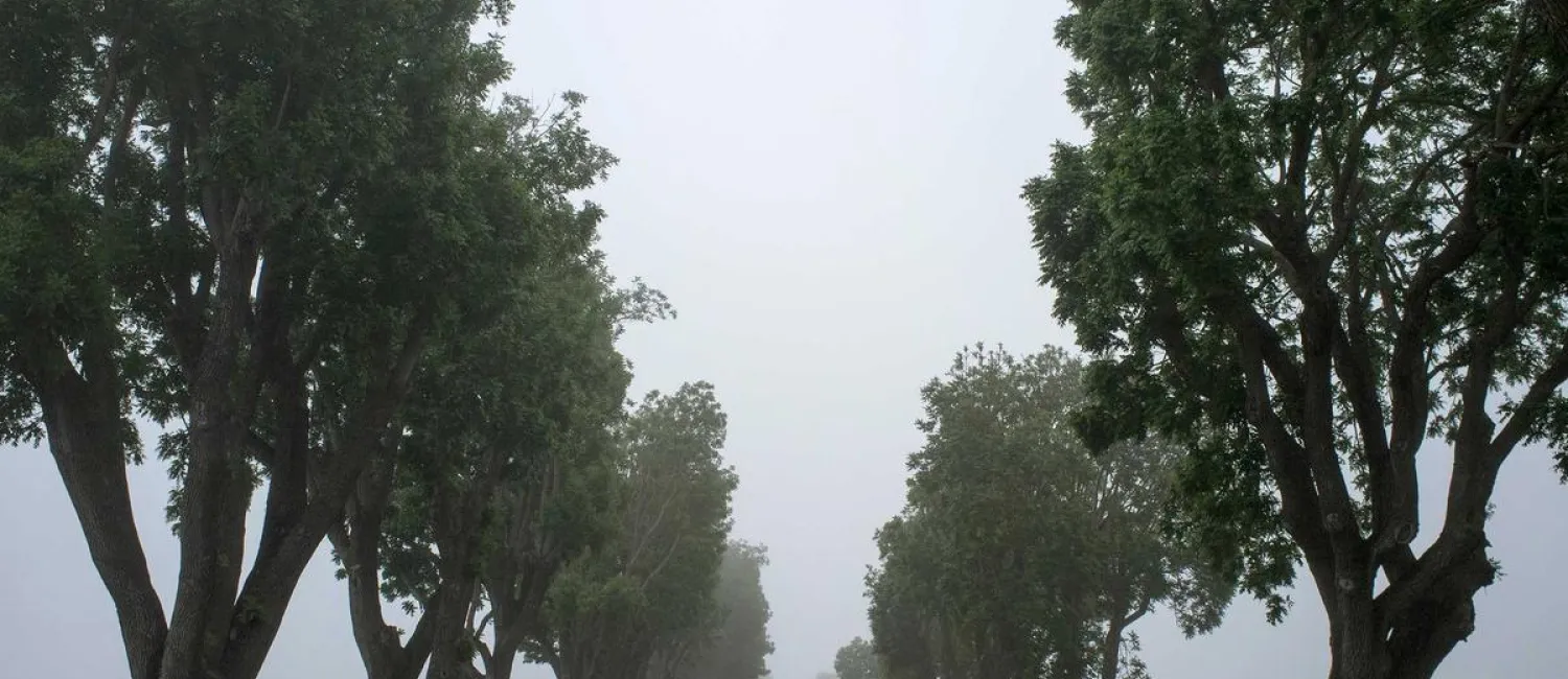 Le pari